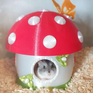 Hamster House "Mushroom Mansion"