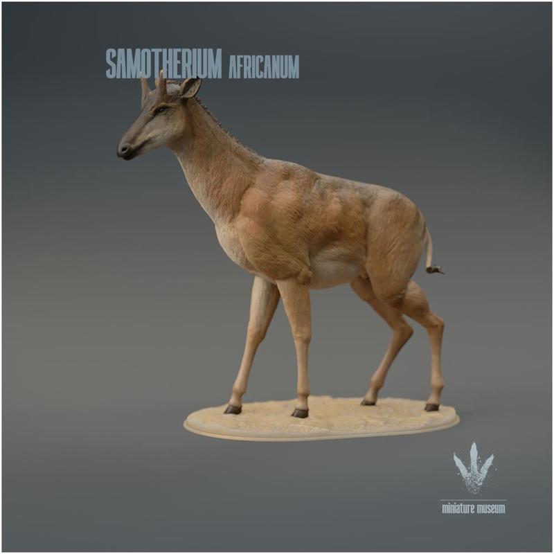 Samotherium africanum : The Beast of Samos