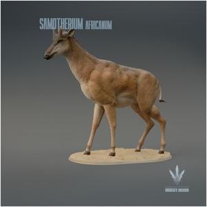 Samotherium africanum : The Beast of Samos