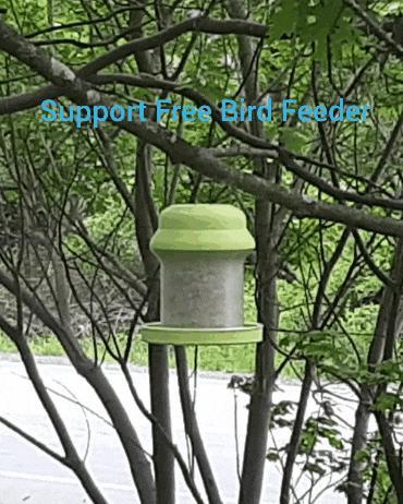 Bird Feeder - Support Free - Easy Print - With Drainage