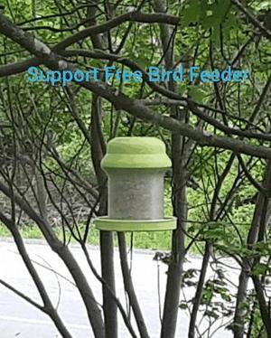 Bird Feeder - Support Free - Easy Print - With Drainage