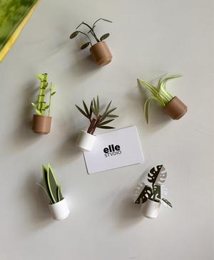 Botanicals, fridge magnets.