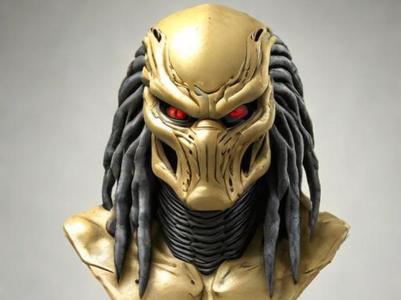 The Predator Bust