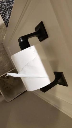 Privacy Paper, The Roll Holder with a Secret!