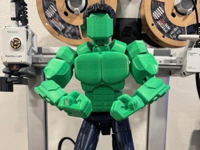 Hulk Costume Properly Proportioned - Dummy 13