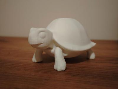 Turtle