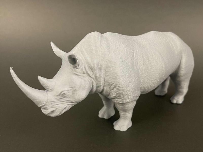 Rhino_JMLSilver