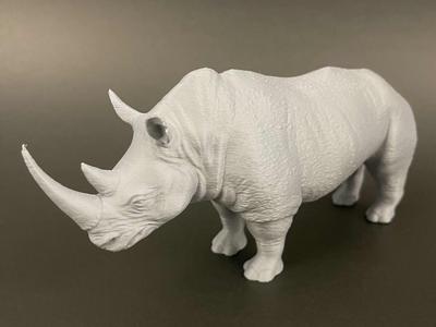 Rhino_JMLSilver