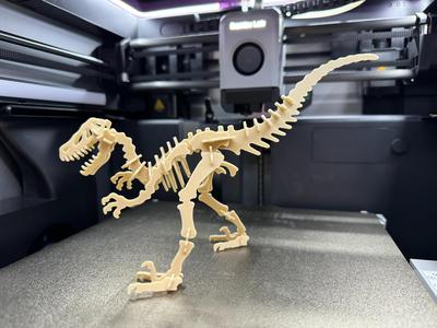 Velociraptor Kit Card