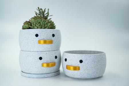 Mini Duck Planter