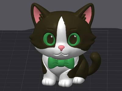 A Tuxedo cat