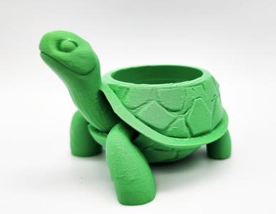 Tortoise Succulent Planter 2