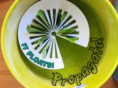 Propagation Pad | Propagate on water | It floats!