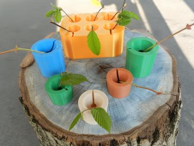 Rootcup – Rooting Cup for Plant Cuttings