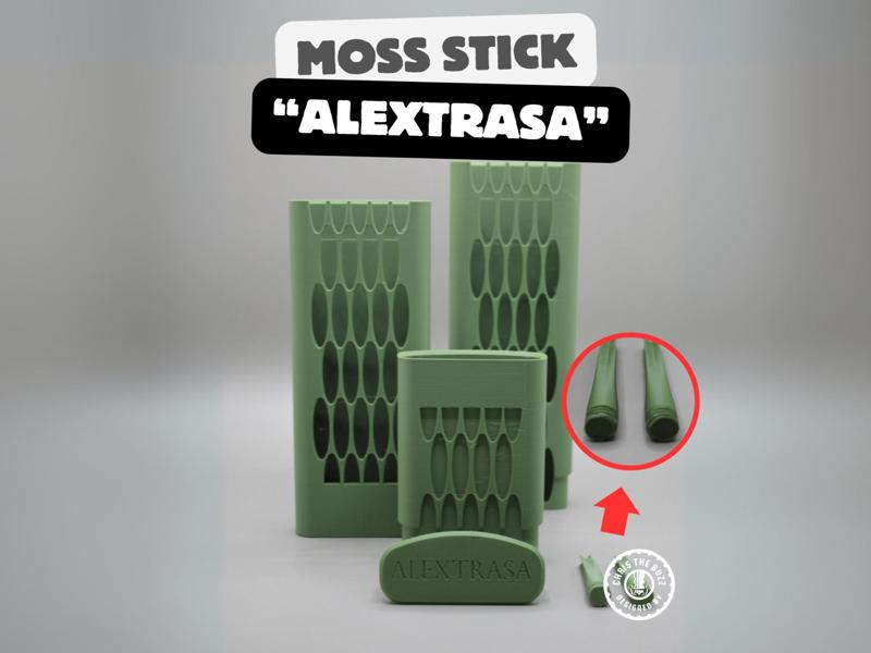 "Alextrasa" Moss Stick – Grows with your Plant