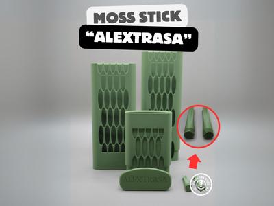 "Alextrasa" Moss Stick – Grows with your Plant
