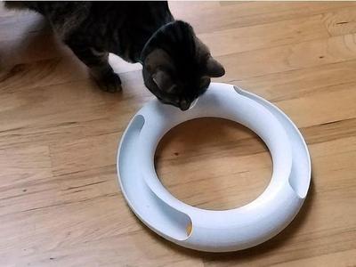 Parametric Cat Track Toy