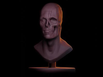 Bust Study   
