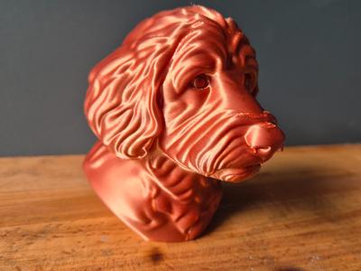 Golden Doodle Bust – Realistic Dog Sculpture