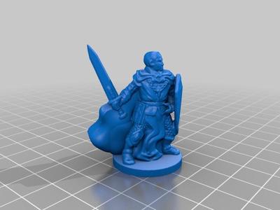 Noble Inquisitor