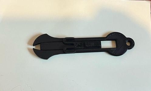 Trolley Key Pound Coin