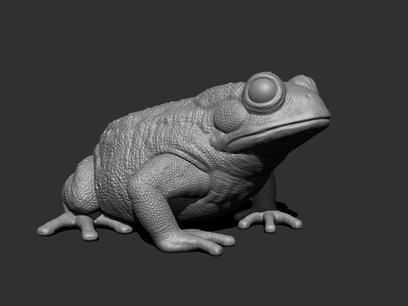 3D Bufotes for Printing