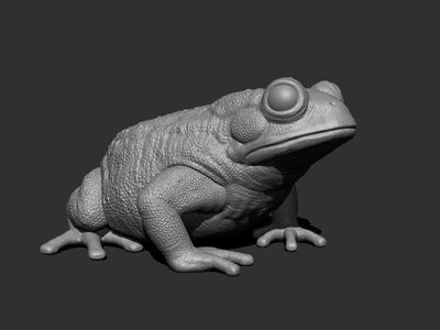 3D Bufotes for Printing