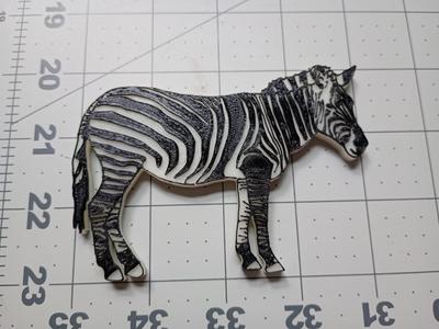 Zebra