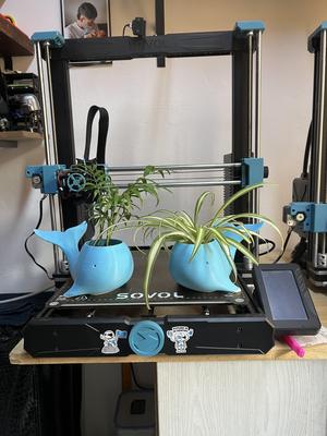 whale pot planter
