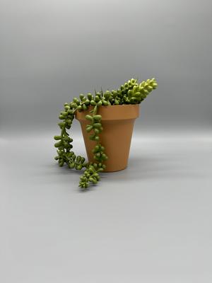 Classic Planter