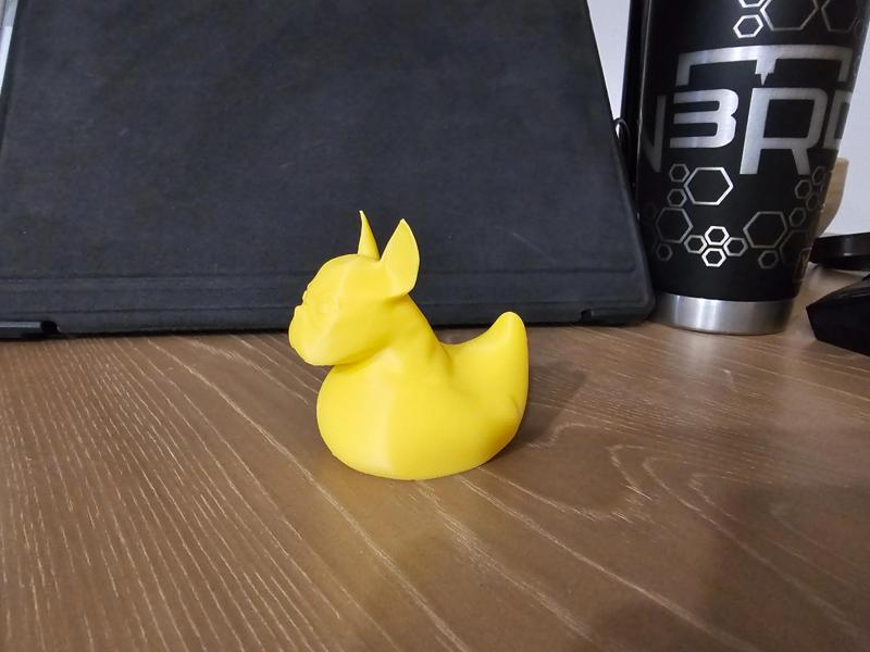 Frenchie Duck
