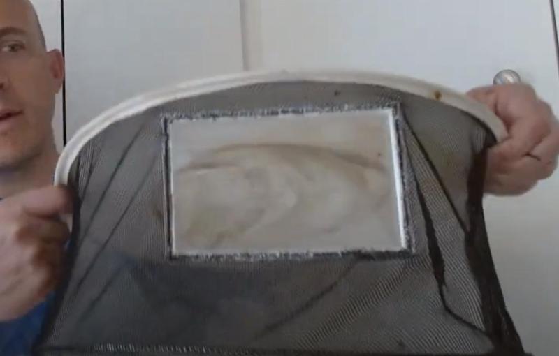 Bee Veil Window