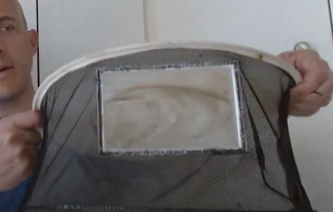 Bee Veil Window