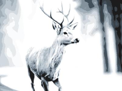 Young Stag Mark Seeks a New Home-200x200