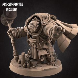 Tortle Cleric