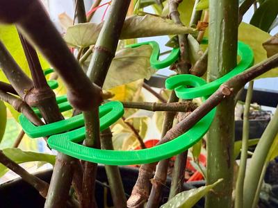 Monstera Shape Plant Holders with Fastening Hooks