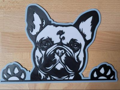 Frenchie / French Bulldog