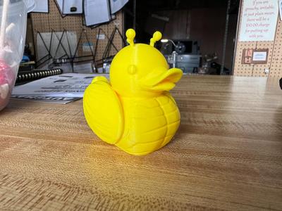 Beetle Duck 