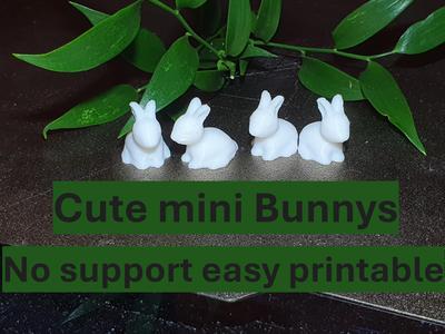Small cute Bunnys
