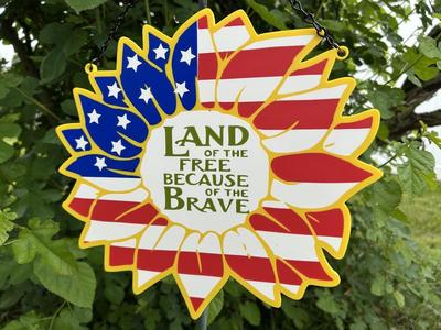 Land of the Free Decoration