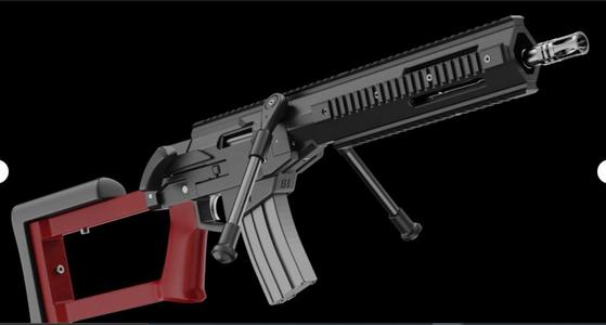 bolt action rifle
