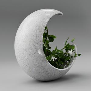 Moon Vase