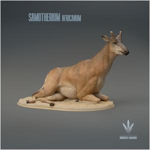 Samotherium africanum : Resting