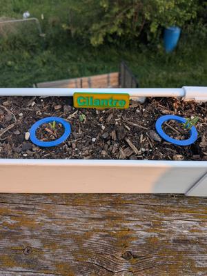 Plant Marker Tags