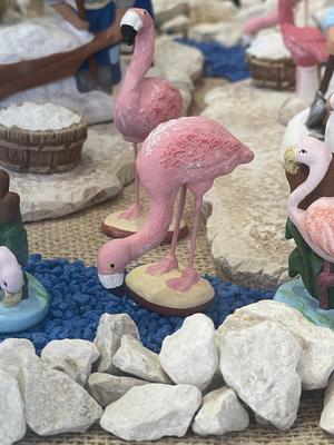 Pink Flamingos
