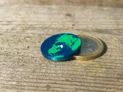 Flat Earth Cart Coin (Azimuthal Projection)