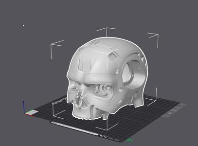 Terminator Inspired Skull