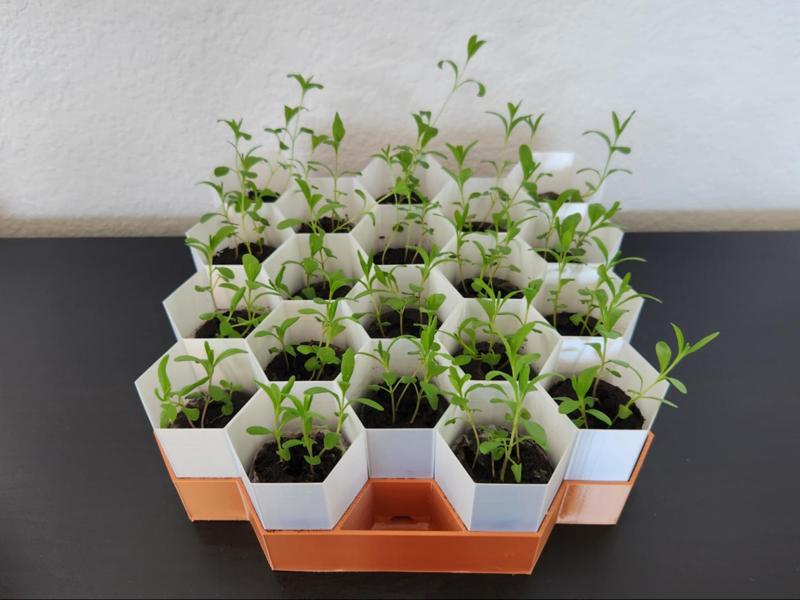 Hexagonal Seed Starter Tray