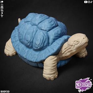 Turtle with a Secret Shell ( Supportless )