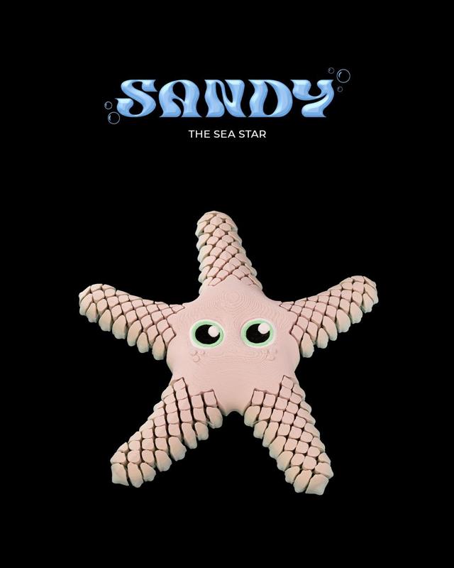 Sandy, the Sea Star 
